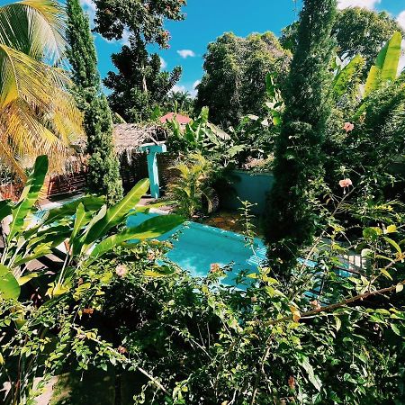 Hidden Gem @ White River Ocho Rios - Secluded Retreat For Two Hotel Exterior photo